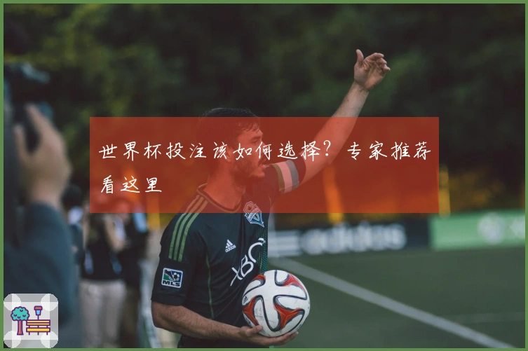 世界杯投注该如何选择？专家推荐看这里