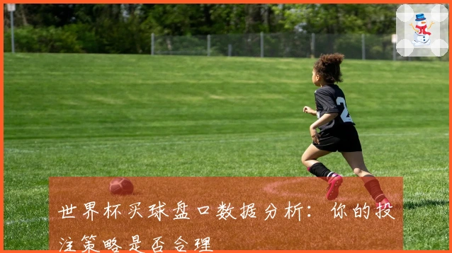 世界杯买球盘口数据分析：你的投注策略是否合理