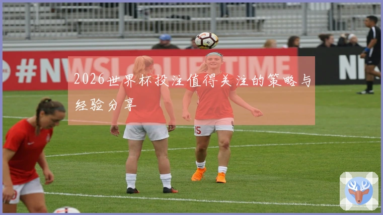 2026世界杯投注值得关注的策略与经验分享
