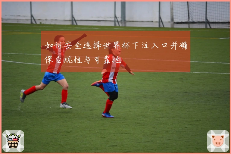 如何安全选择世界杯下注入口并确保合规性与可靠性