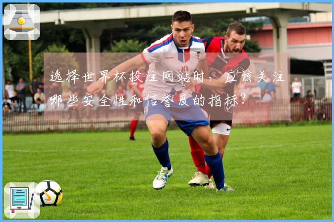 选择世界杯投注网站时，应该关注哪些安全性和信誉度的指标？