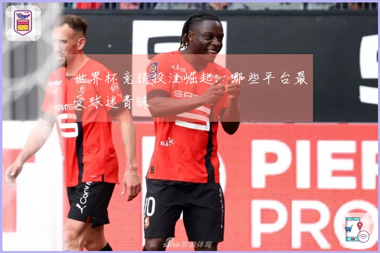 世界杯竞猜投注崛起：哪些平台最受球迷青睐