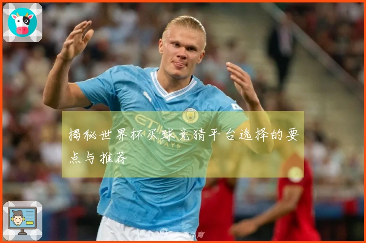 揭秘世界杯买球竞猜平台选择的要点与推荐