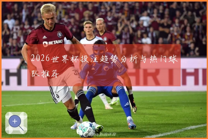 2026世界杯投注趋势分析与热门球队推荐