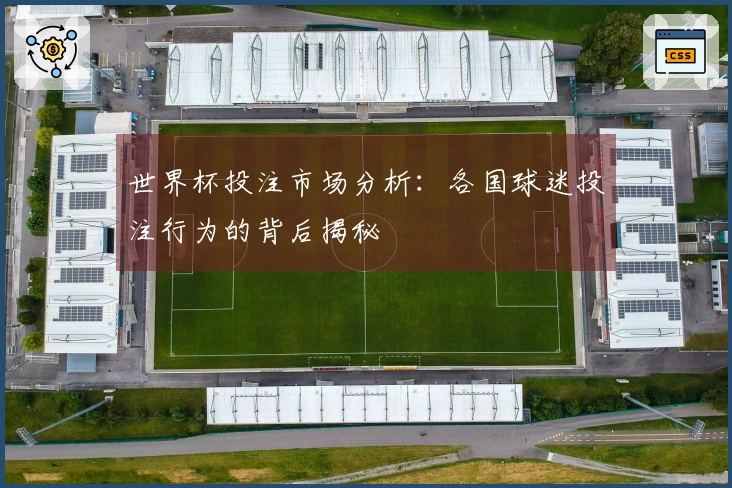世界杯投注市场分析：各国球迷投注行为的背后揭秘