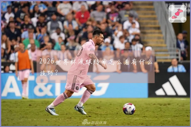 2026世界杯滚球赔率怎么看有什么技巧？