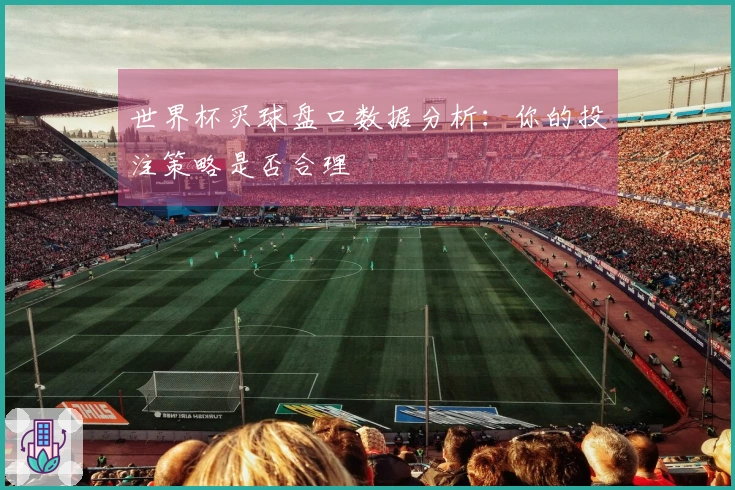世界杯买球盘口数据分析：你的投注策略是否合理