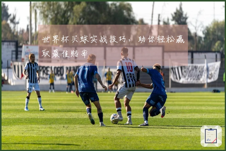 世界杯买球实战技巧，助你轻松赢取最佳赔率