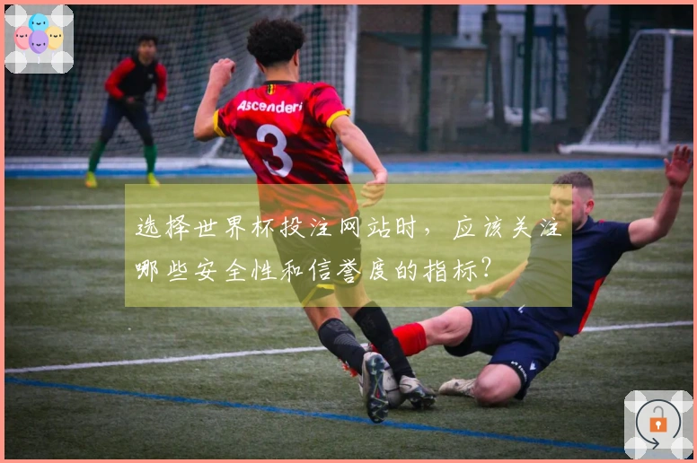 选择世界杯投注网站时，应该关注哪些安全性和信誉度的指标？