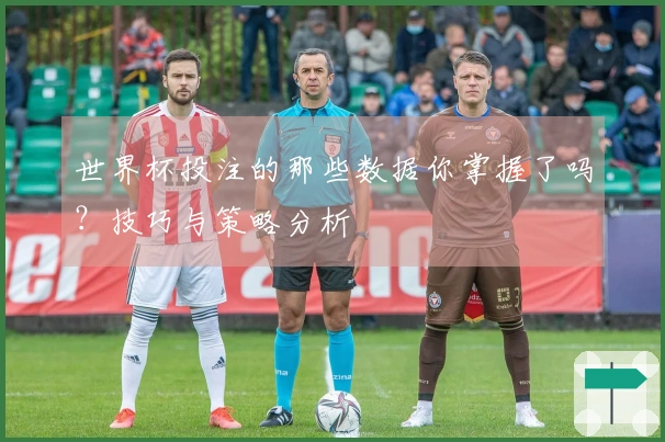 世界杯投注的那些数据你掌握了吗？技巧与策略分析