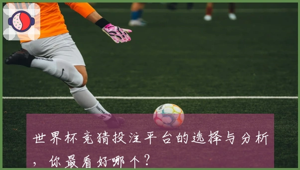 世界杯竞猜投注平台的选择与分析，你最看好哪个？